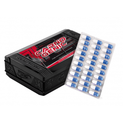TREC Carnogenic 120 kapsułek